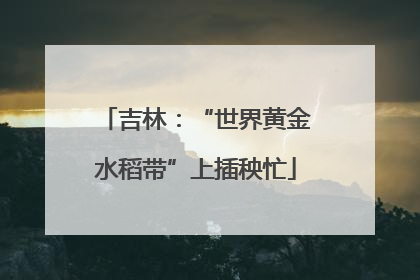 吉林：“世界黄金水稻带”上插秧忙